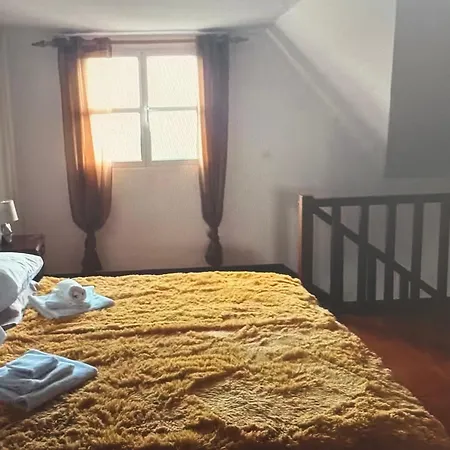 Charming Island * بونتا ديلغادا